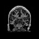 Image of Isil Poyraz Bilgin